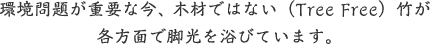 環境問題が重要な今、 木材ではない（Tree Free）竹が各方面で脚光を浴びています。